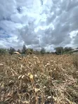 Residential Plot for Sale, Milimani Kitengela - 4