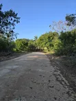 50x100 Ft Plots for Sale in Mtwapa Controlled Development - 4