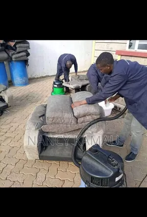 Sofa General Cleaning Service