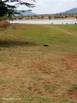 Ekalakala: Eka 5 Zinazogusa Masinga Dam - Kwa Eka - 1