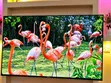 Hisense 55" Smart TV 55A6H - 2