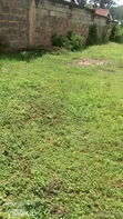 Sehemu ya 1/2 Eka ya Bustani kwa Ajili ya Kukodisha - 5