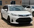Toyota Corolla Fielder 1.5 Hybrid FWD 2019 Pearl - 3