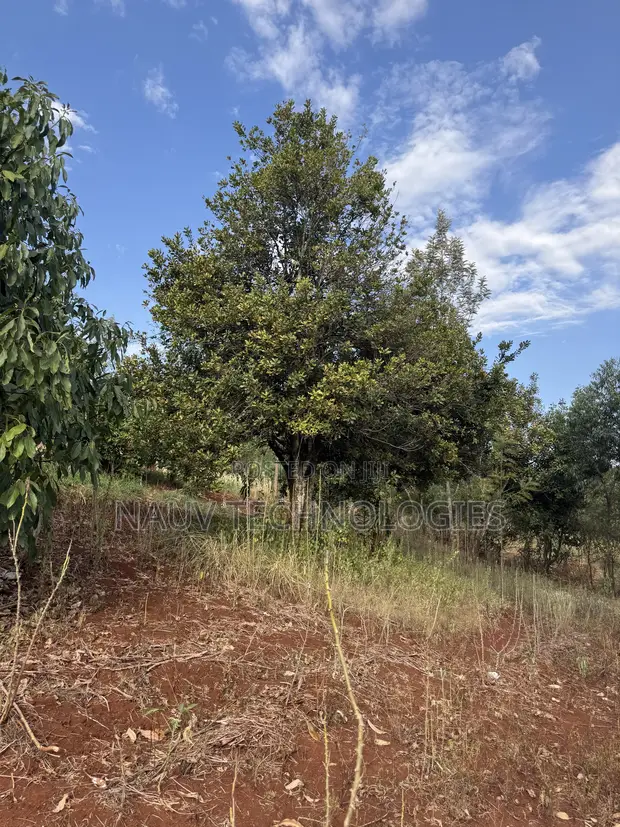 Kenyatta Road - Land for Sale in Gated Estate - 1