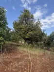 Kenyatta Road - Land for Sale in Gated Estate - 1
