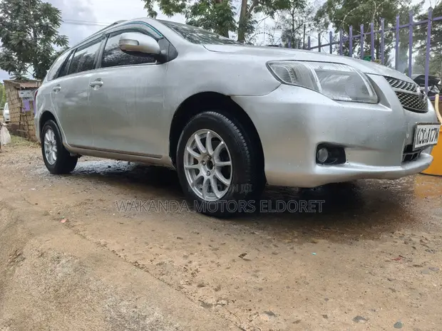 Toyota Corolla Fielder 1.5 Petrol FWD 2008 Silver - 1