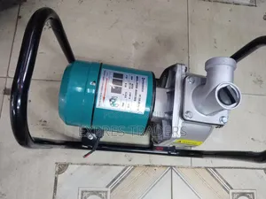 Premier 900W 96V DC Solar Water Pump