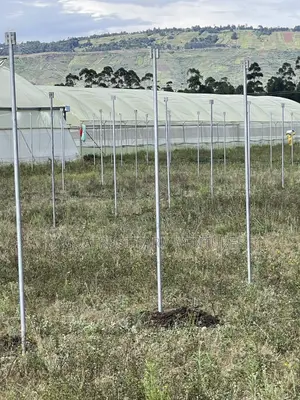 Huduma za Ufungaji wa Greenhouse
