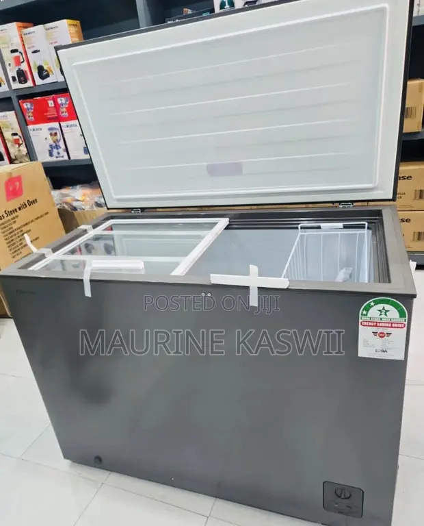 Hisense Dual Chest Freezer 245L - 1