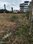 100x100 Plot Machakos Kathome - KES 3.5M - 2