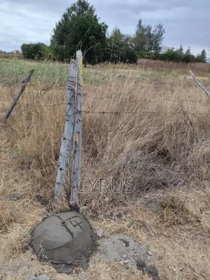 2 Acre Mixed-Use Land for Sale in Nzoiani
