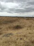 2 Acre Mixed-Use Land for Sale in Nzoiani - 2