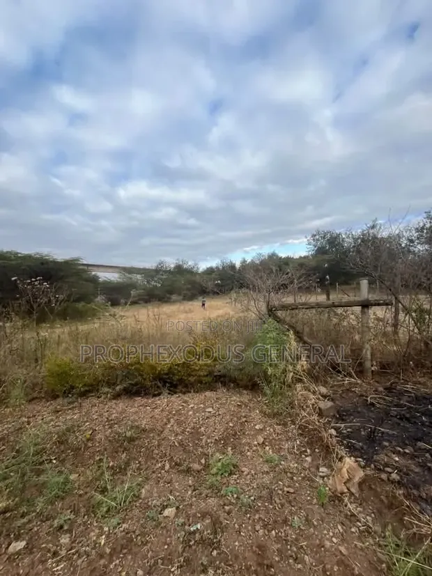 50x100ft Prime Plots for Sale, Nkoroi, Ongata Rongai - 1