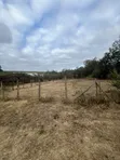 50x100ft Prime Plots for Sale, Nkoroi, Ongata Rongai - 2