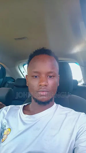 Driver CV - John