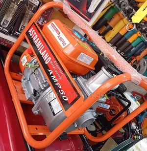 Astramilano Commercial Petrol Water Pump