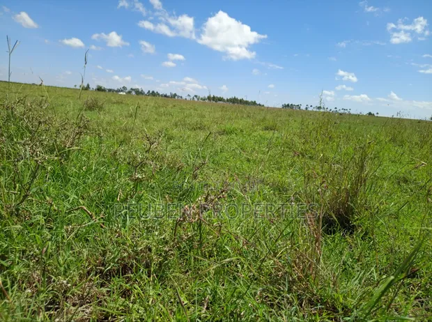 Kiwanja cha Naromoru Bethany Garden kwa Mauzo - 1