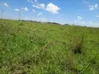 Kiwanja cha Naromoru Bethany Garden kwa Mauzo - 1