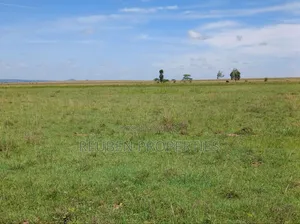 Kiwanja cha Naromoru Bethany Garden kwa Mauzo