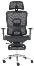 ErgoFlex Pro Multi-Function Mesh Office Chair - 1