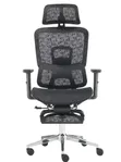 ErgoFlex Pro Multi-Function Mesh Office Chair - 2
