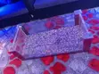 Aquarium Fish Tank - 350 Litres - 1