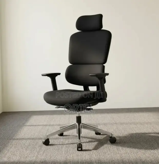 Ergonomic High-Back Office Chair - Black - 1