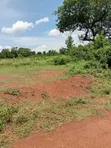 Vipande Bora vya 1/4 Aki vya Uuzaji Bondo - 2