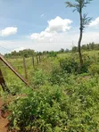 Vipande Bora vya 1/4 Aki vya Uuzaji Bondo - 3