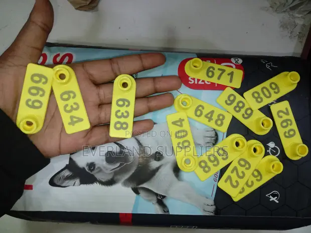 Brand New Ear Tags - 1