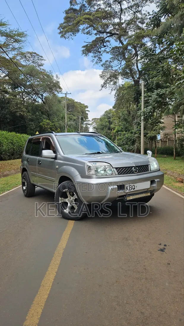 Nissan X-Trail 2004 Silver - 1