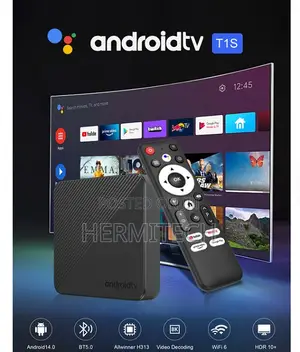 Hermitech H313 Max Kipokezi cha TV