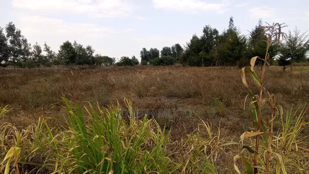Kitalu cha Biashara kwa Mauzo Gatarakwa - 1