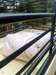 Carpet Nyekundu ya Delta 4mm ya Ubora wa Juu kwa Jukwaa la Kanisa - 2