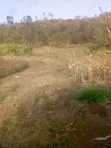 50x100 Plot for Sale in Kamangu, Ndeiya - 1