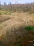 50x100 Plot for Sale in Kamangu, Ndeiya - 2