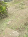 50x100 Plot for Sale in Kamangu, Ndeiya - 3