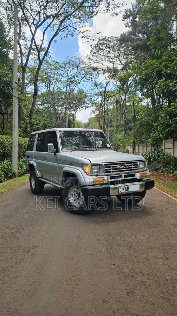 Toyota Land Cruiser 70 Series 1993 Silver - 1
