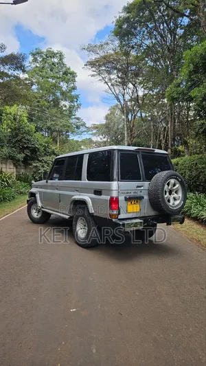 Toyota Land Cruiser 70 Series 1993 Silver