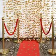Portable Crowd Control Barrier for Events - 1