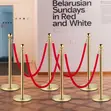 Portable Crowd Control Barrier for Events - 5