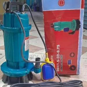 Premier QDX 1HP Submersible Water Pump