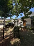 Bungalow ya Vyumba 3 Kukodishwa Karen - 1