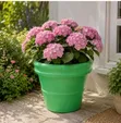 Conical Planter - Mpya Kabisa - 2