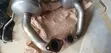 Twin Genomes za Subaru Legacy/Forester - 4