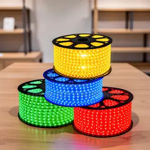 Durable 50m Outdoor Snake LED Rope Light with Connector