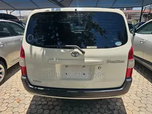 Toyota Probox F-Xtra 2019