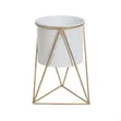Nordic Geometric Metal Plant Display Holder - White - 1
