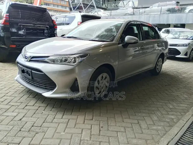 Toyota Axio Hybrid 2019 Silver - 1