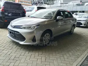 Toyota Axio Hybrid 2019 Silver